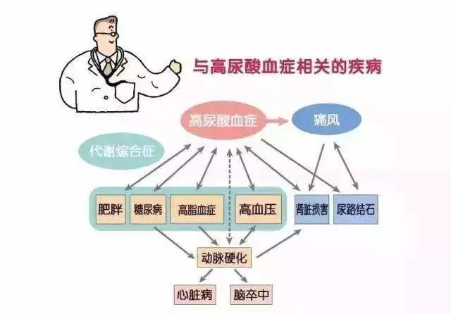 尿酸高？那你就离不开氢了！