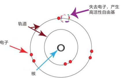 氢分子将是医学界的新大陆