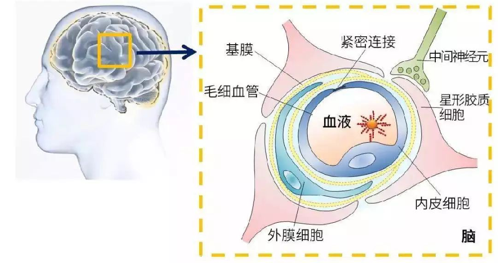 氢气吸入对老年痴呆的效果惊人